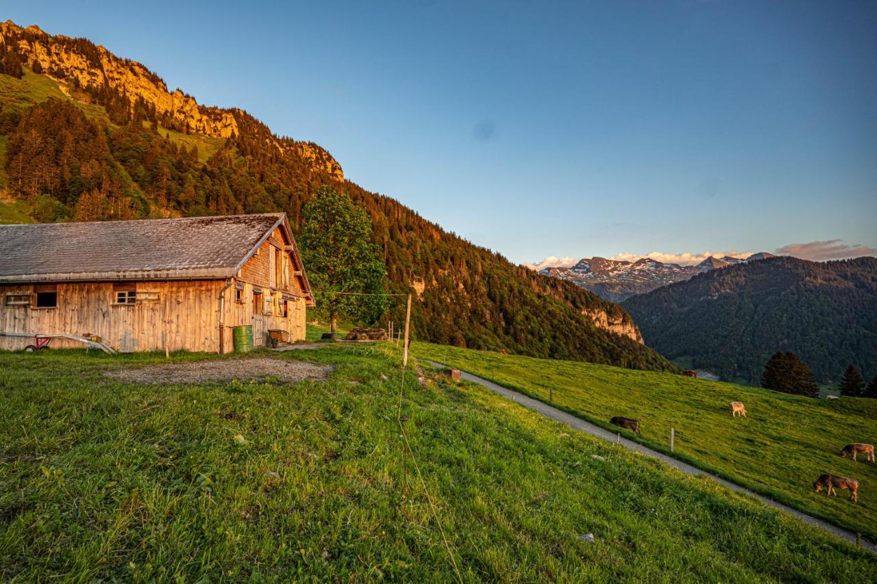 Апартаменты Wies Stein  Экстерьер фото