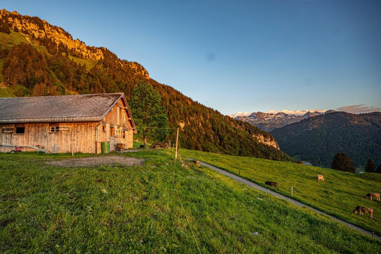 Wies Stein  Экстерьер фото